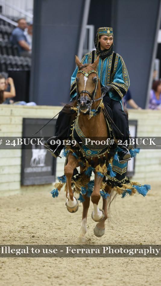 Proof 24BUCK_09129