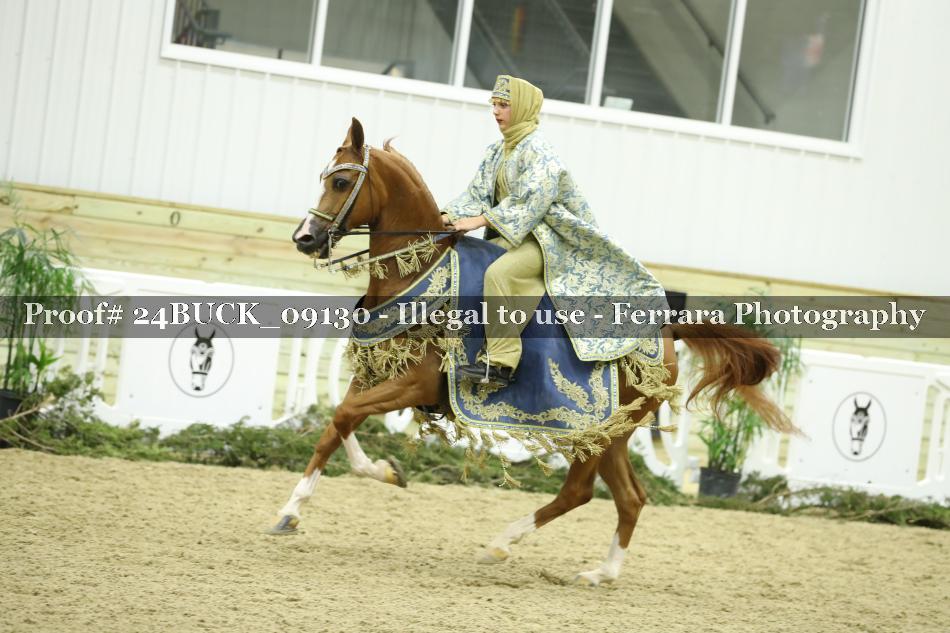 Proof 24BUCK_09130