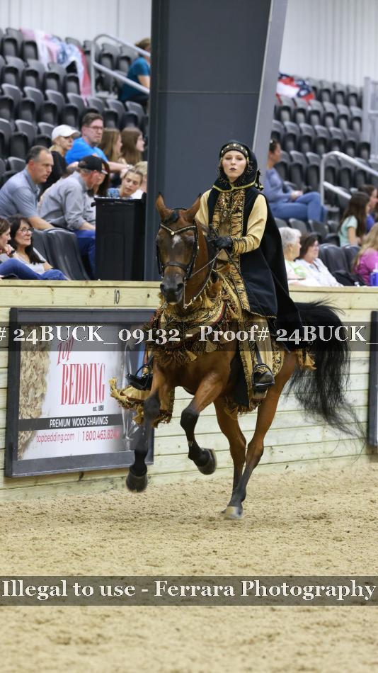 Proof 24BUCK_09132