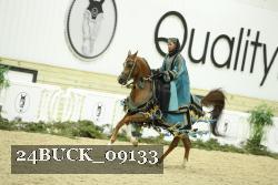 24BUCK_09133 proof