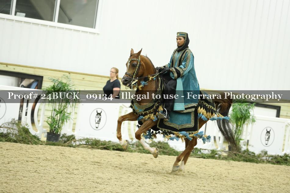 Proof 24BUCK_09134