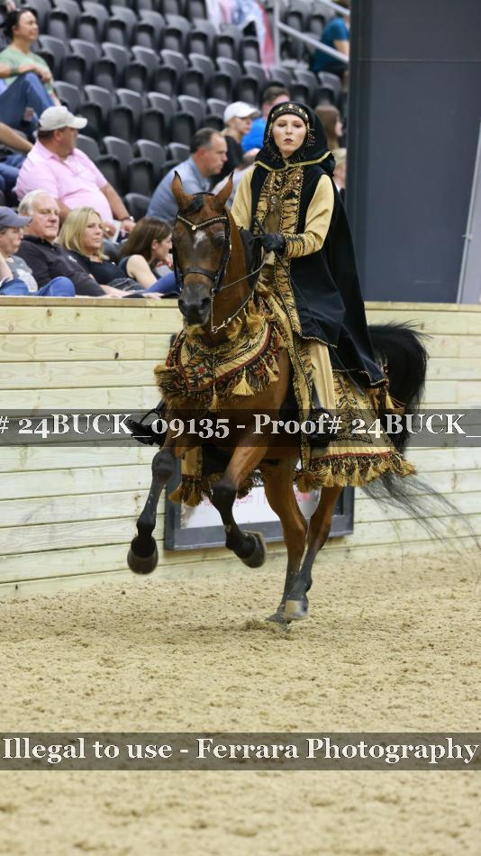 Proof 24BUCK_09135
