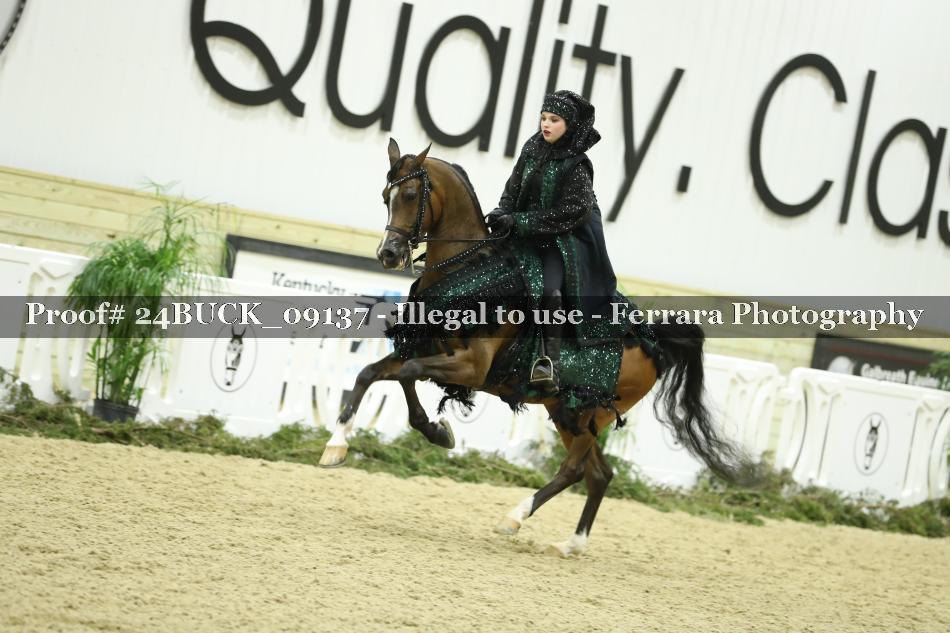 Proof 24BUCK_09137