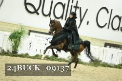 24BUCK_09137 proof