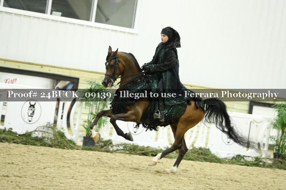 Proof 24BUCK_09139