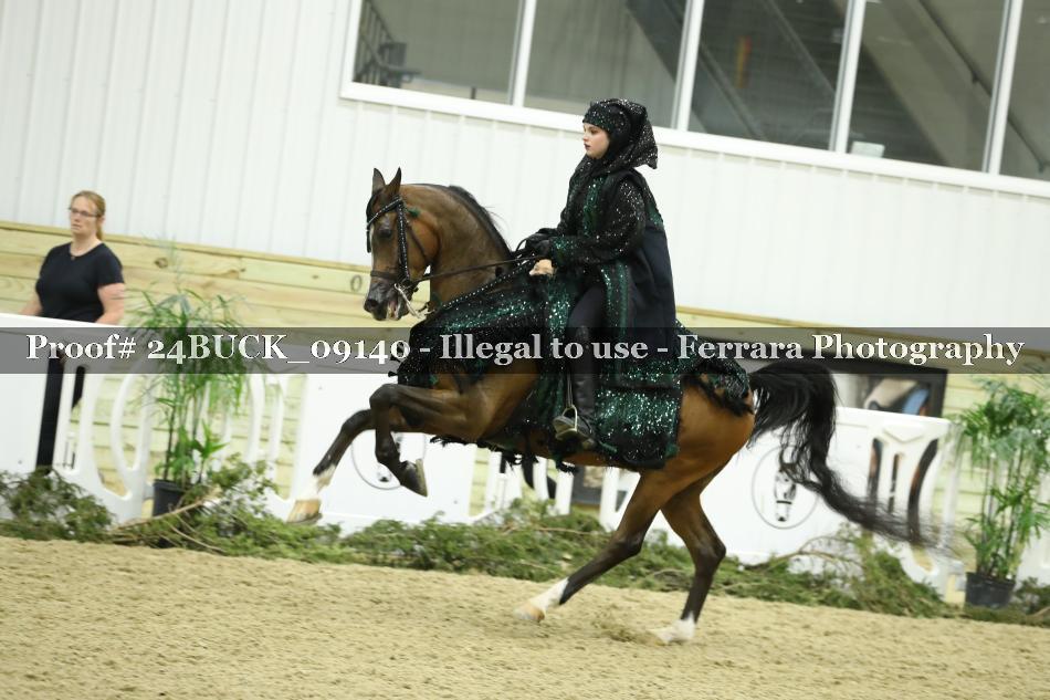 Proof 24BUCK_09140