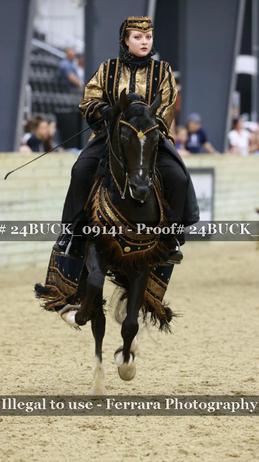 Proof 24BUCK_09141