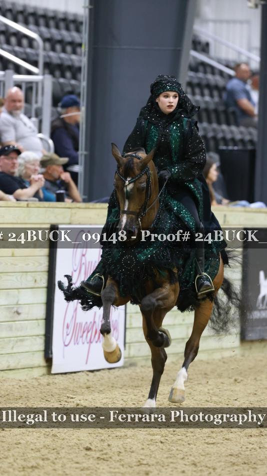 Proof 24BUCK_09148
