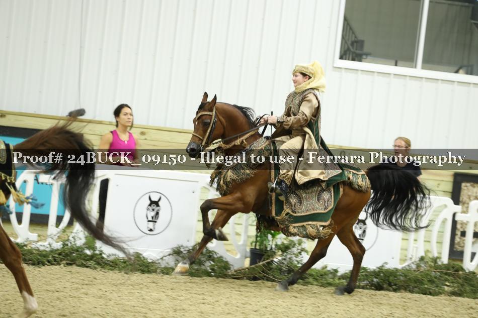 Proof 24BUCK_09150