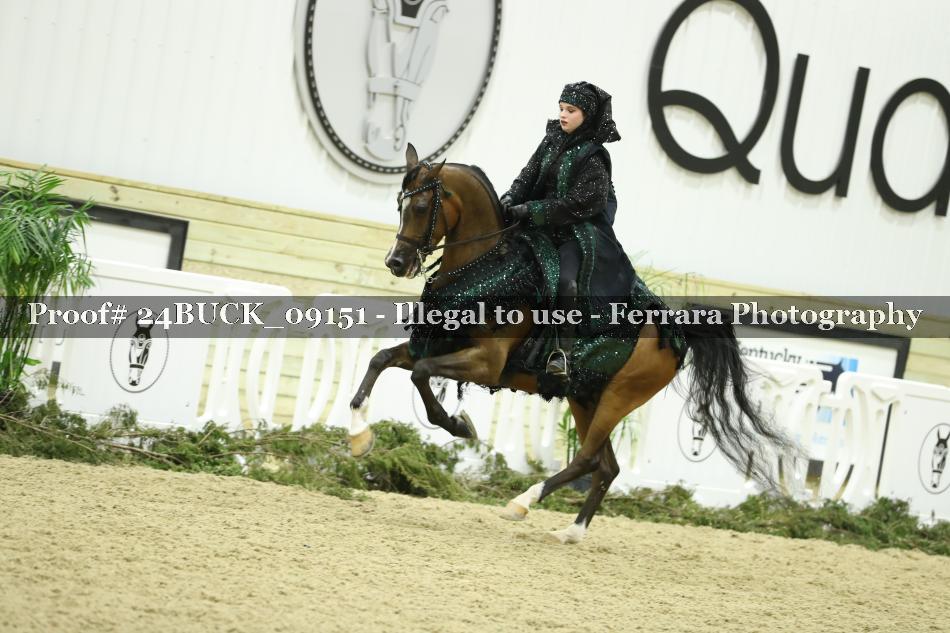 Proof 24BUCK_09151