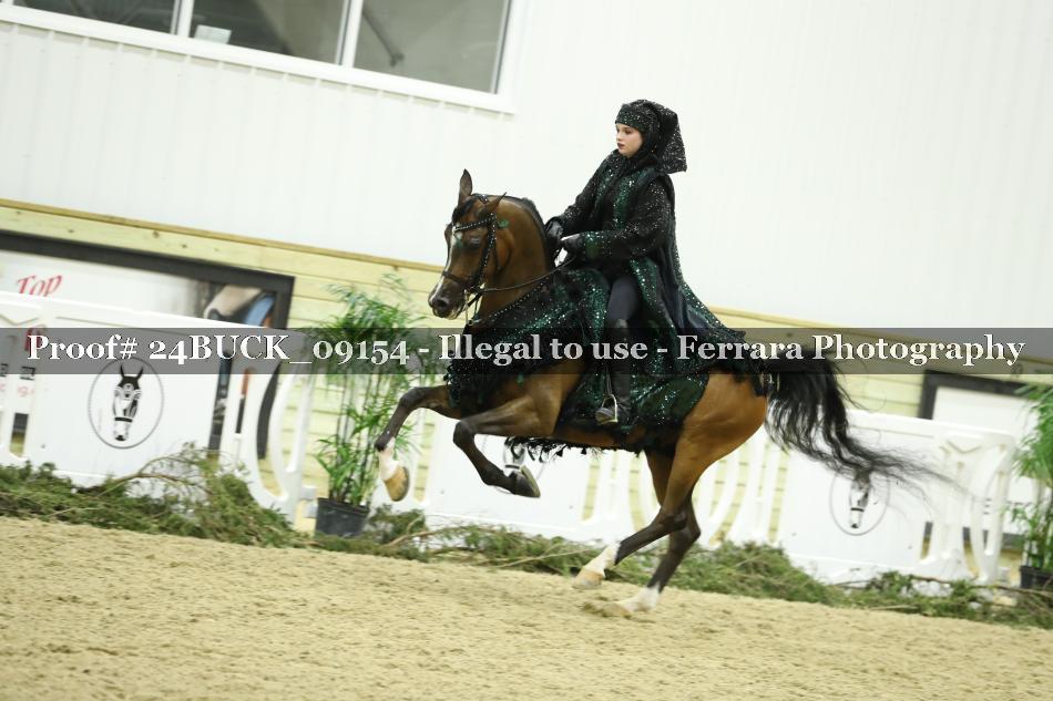 Proof 24BUCK_09154