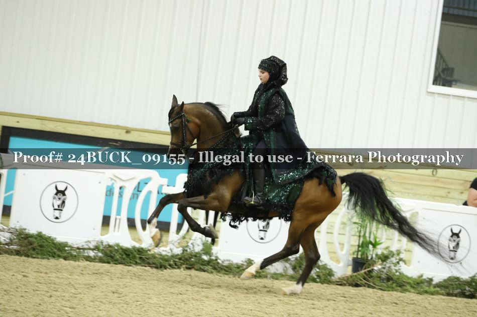 Proof 24BUCK_09155