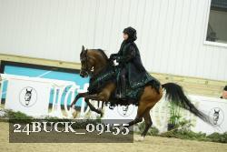 24BUCK_09155 proof