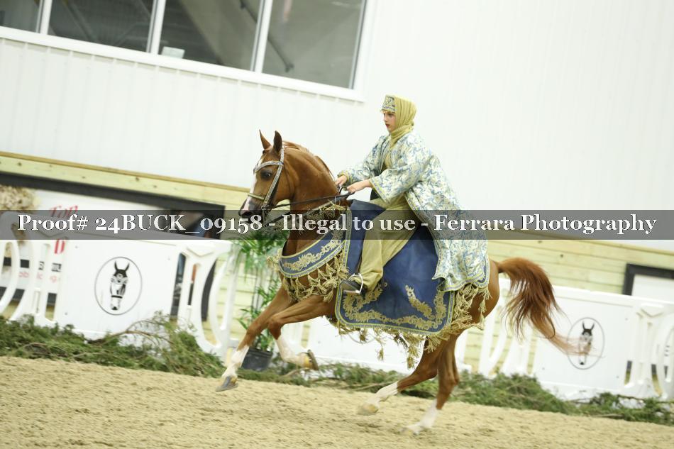 Proof 24BUCK_09158