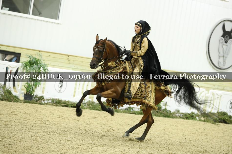 Proof 24BUCK_09160
