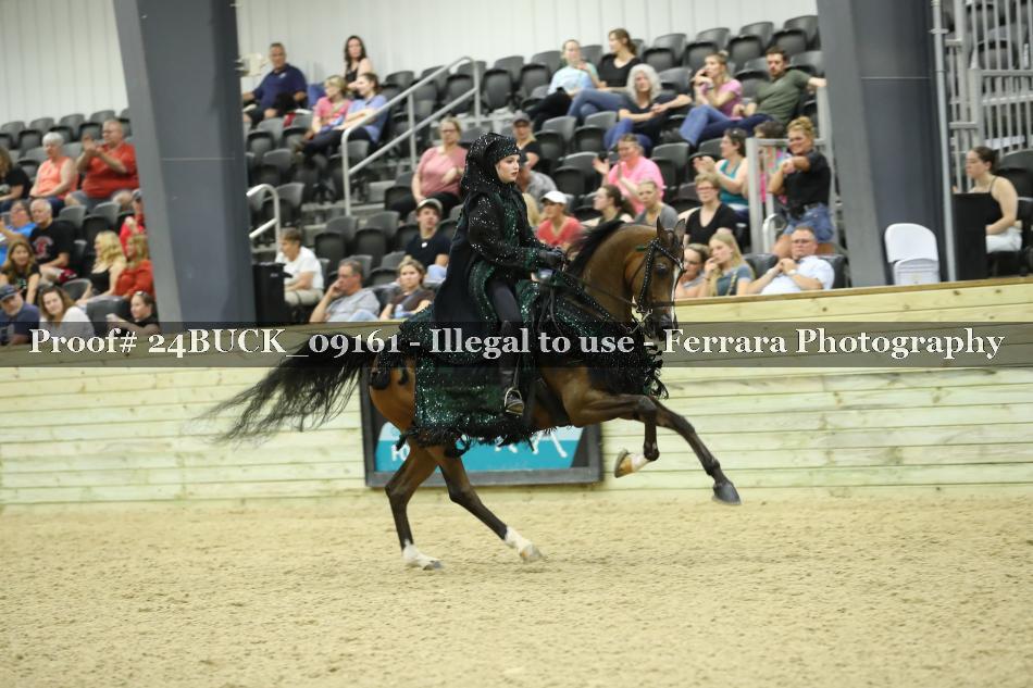 Proof 24BUCK_09161