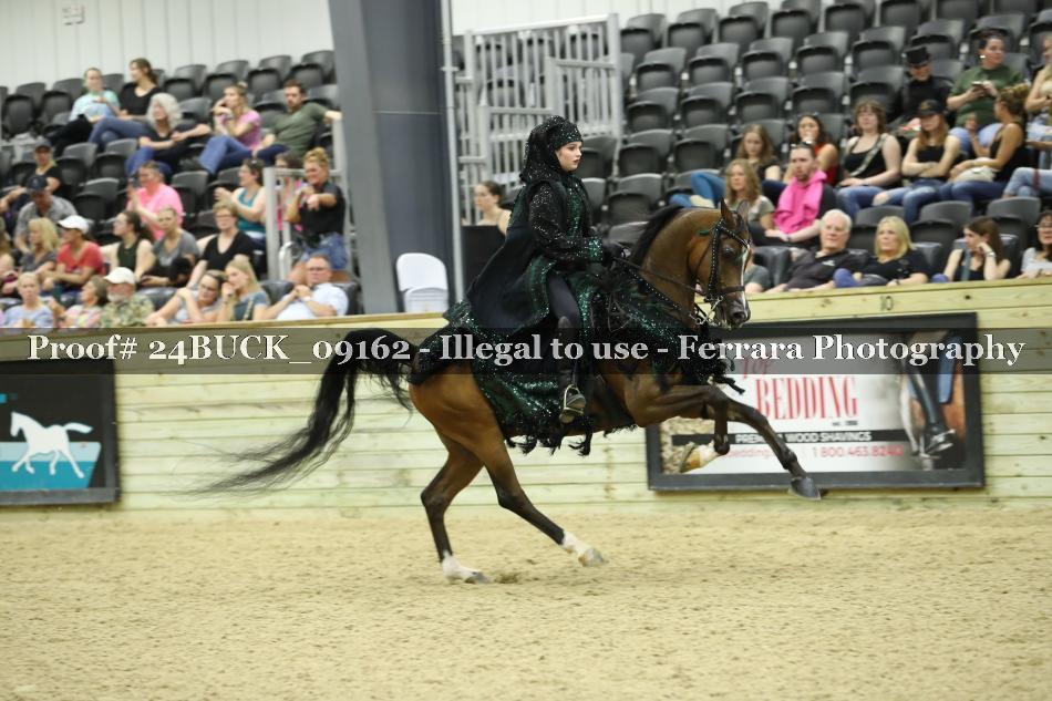 Proof 24BUCK_09162