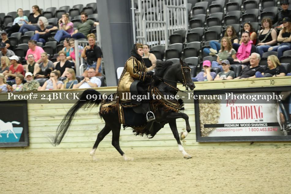 Proof 24BUCK_09164