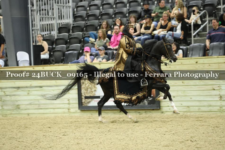 Proof 24BUCK_09165