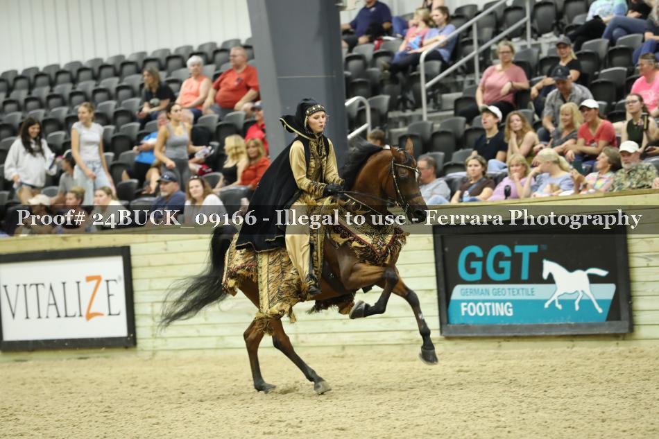 Proof 24BUCK_09166