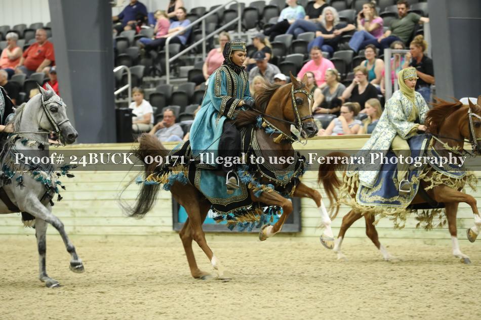 Proof 24BUCK_09171
