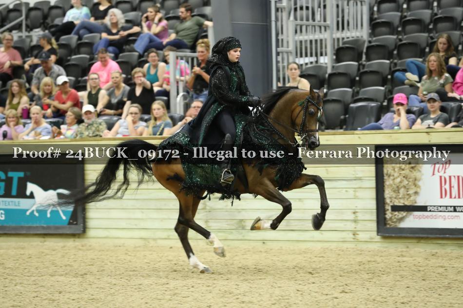 Proof 24BUCK_09172
