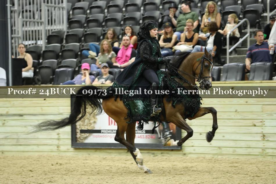 Proof 24BUCK_09173