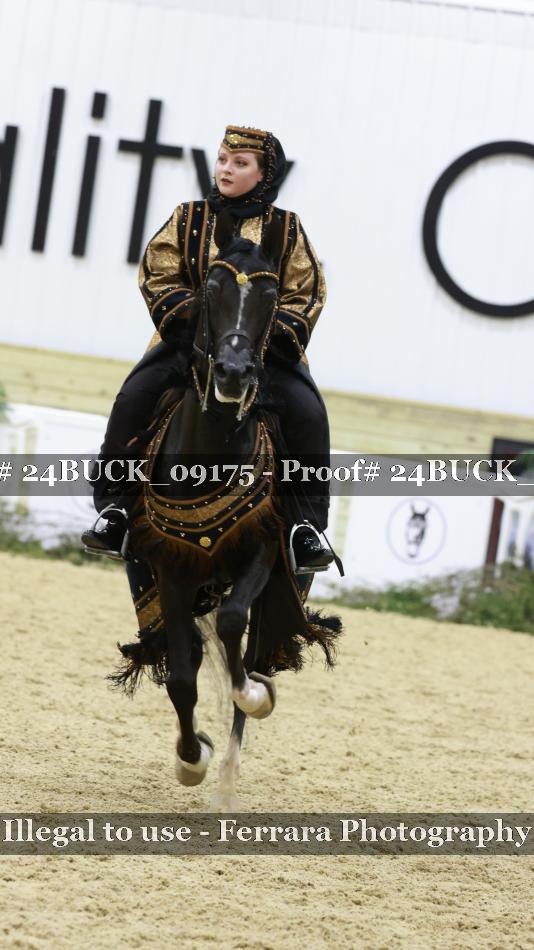 Proof 24BUCK_09175