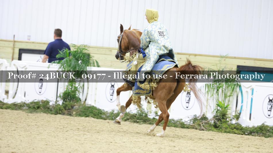 Proof 24BUCK_09177