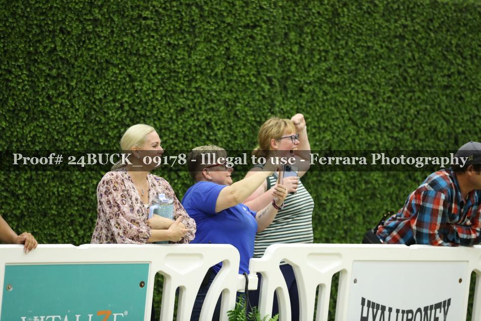 Proof 24BUCK_09178