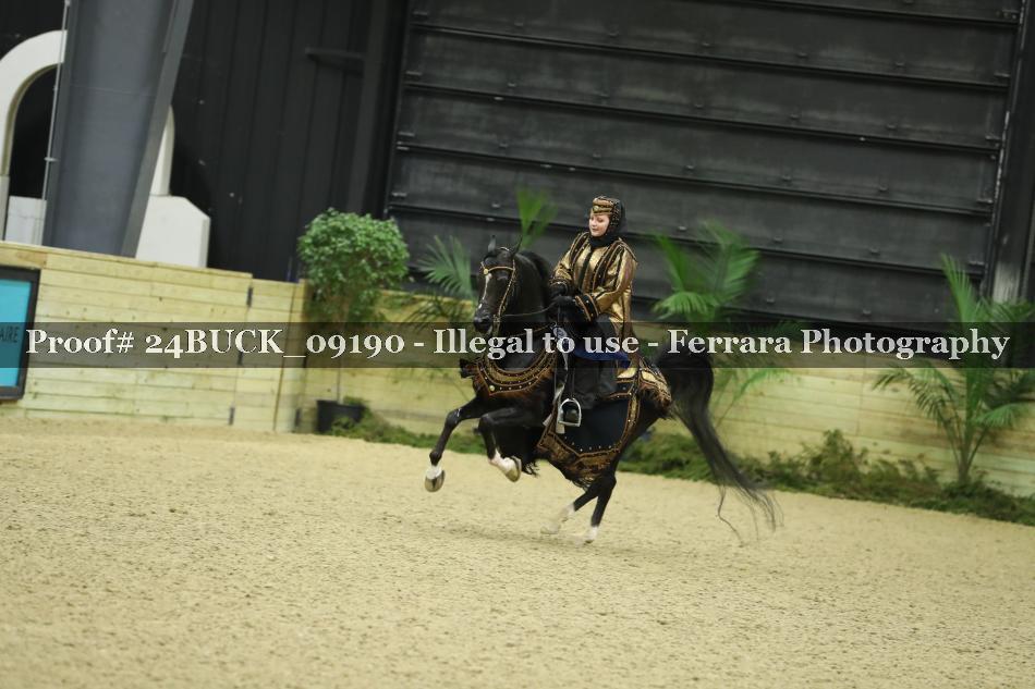 Proof 24BUCK_09190