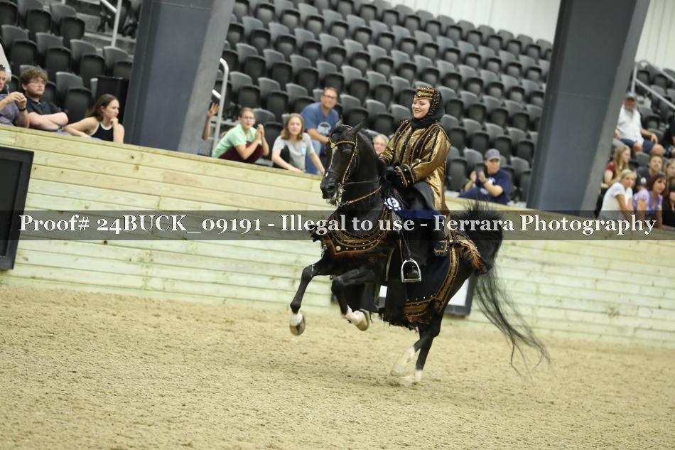 Proof 24BUCK_09191