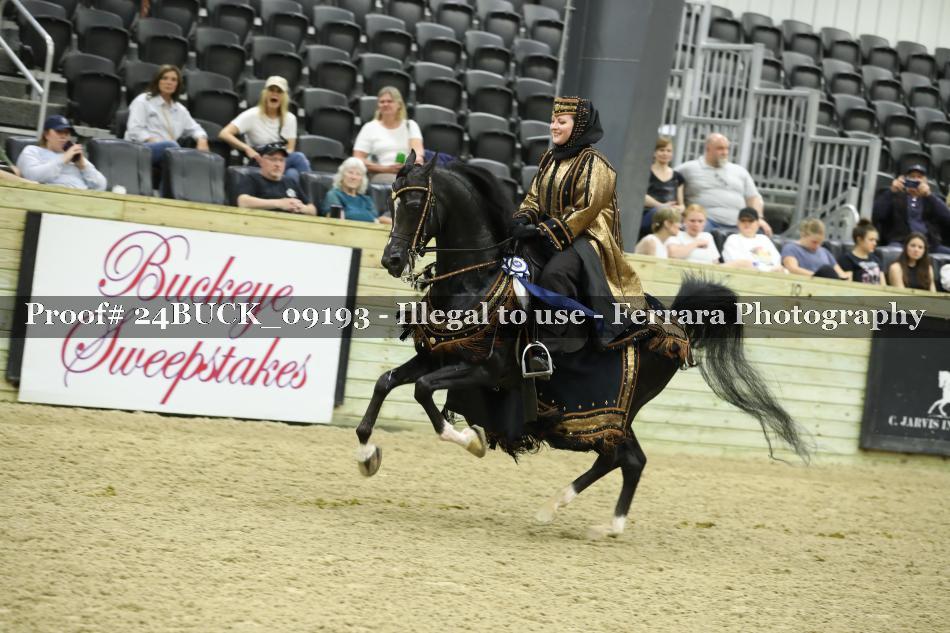 Proof 24BUCK_09193