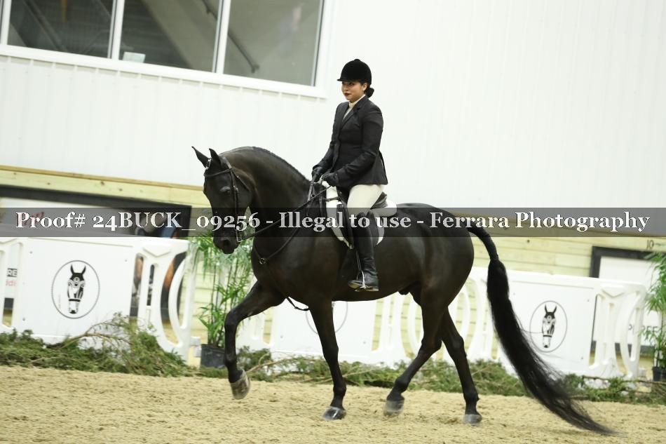 Proof 24BUCK_09256