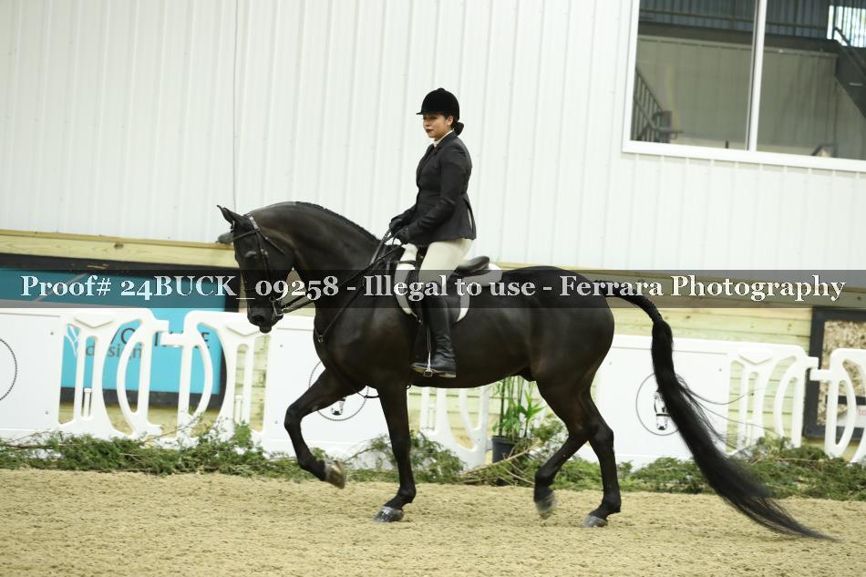 Proof 24BUCK_09258
