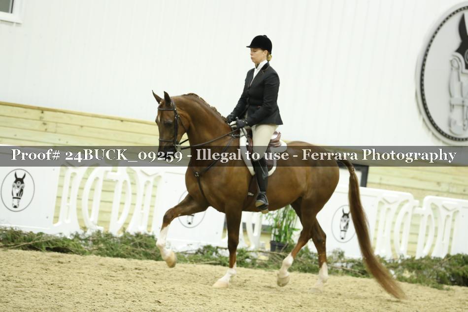 Proof 24BUCK_09259