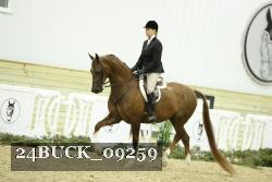 24BUCK_09259 proof