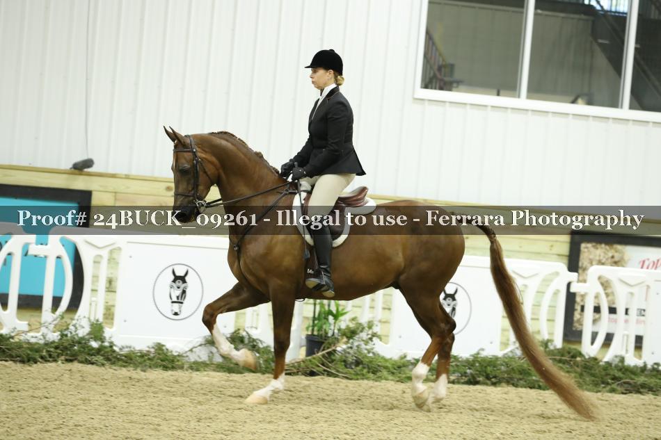 Proof 24BUCK_09261