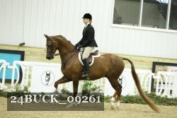 24BUCK_09261 proof