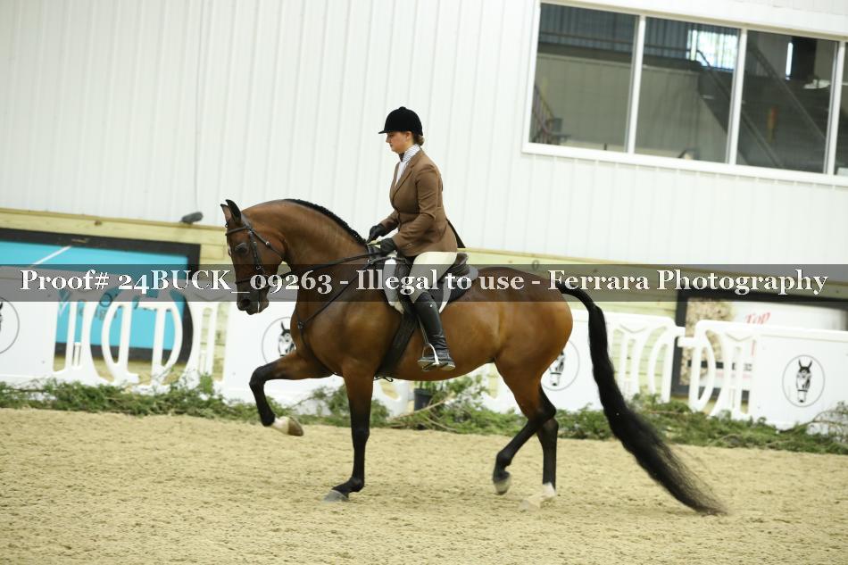 Proof 24BUCK_09263