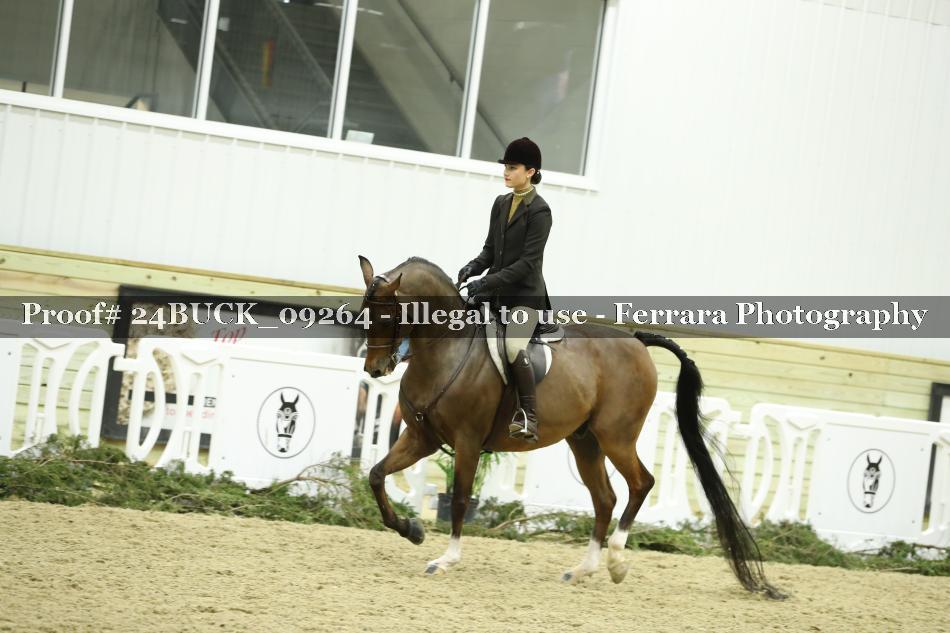 Proof 24BUCK_09264