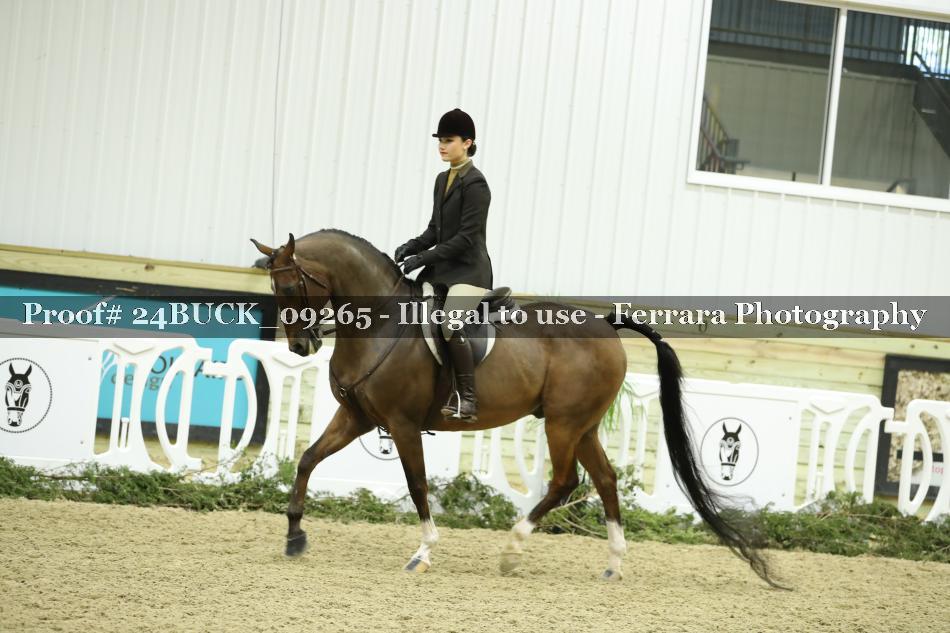 Proof 24BUCK_09265