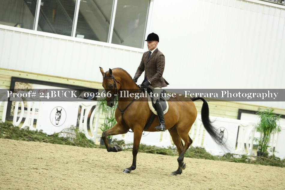 Proof 24BUCK_09266