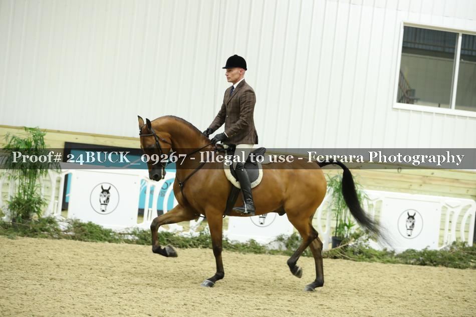 Proof 24BUCK_09267