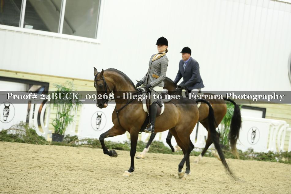 Proof 24BUCK_09268