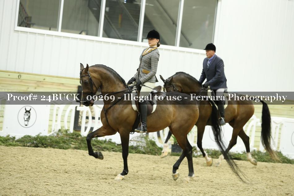Proof 24BUCK_09269