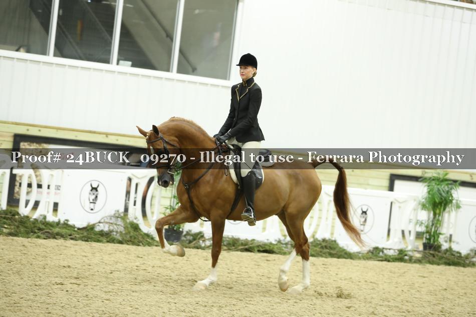 Proof 24BUCK_09270