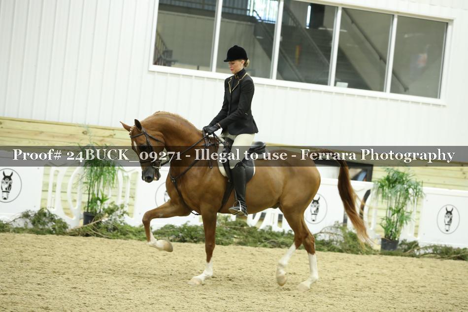 Proof 24BUCK_09271