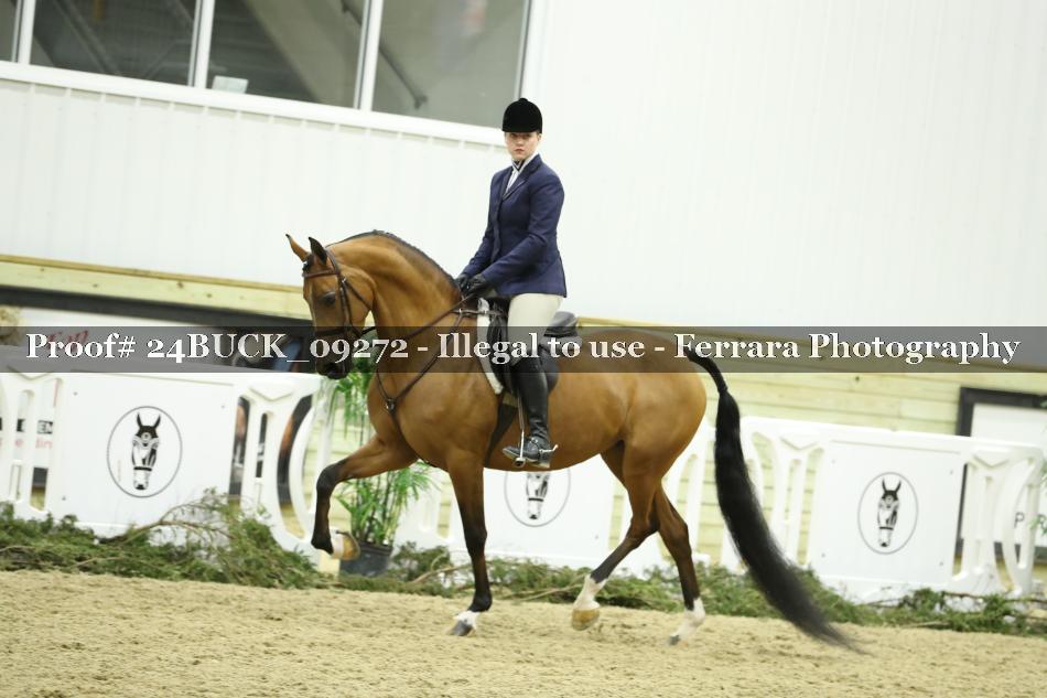Proof 24BUCK_09272