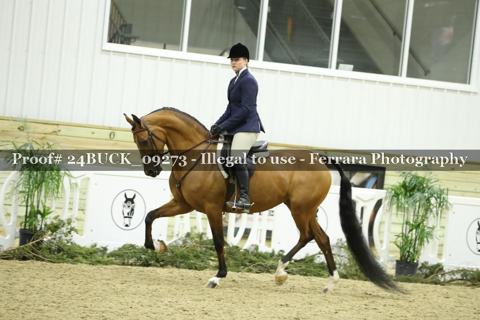 Proof 24BUCK_09273